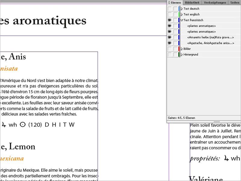 Η λειτουργία στρώματος στο InDesign