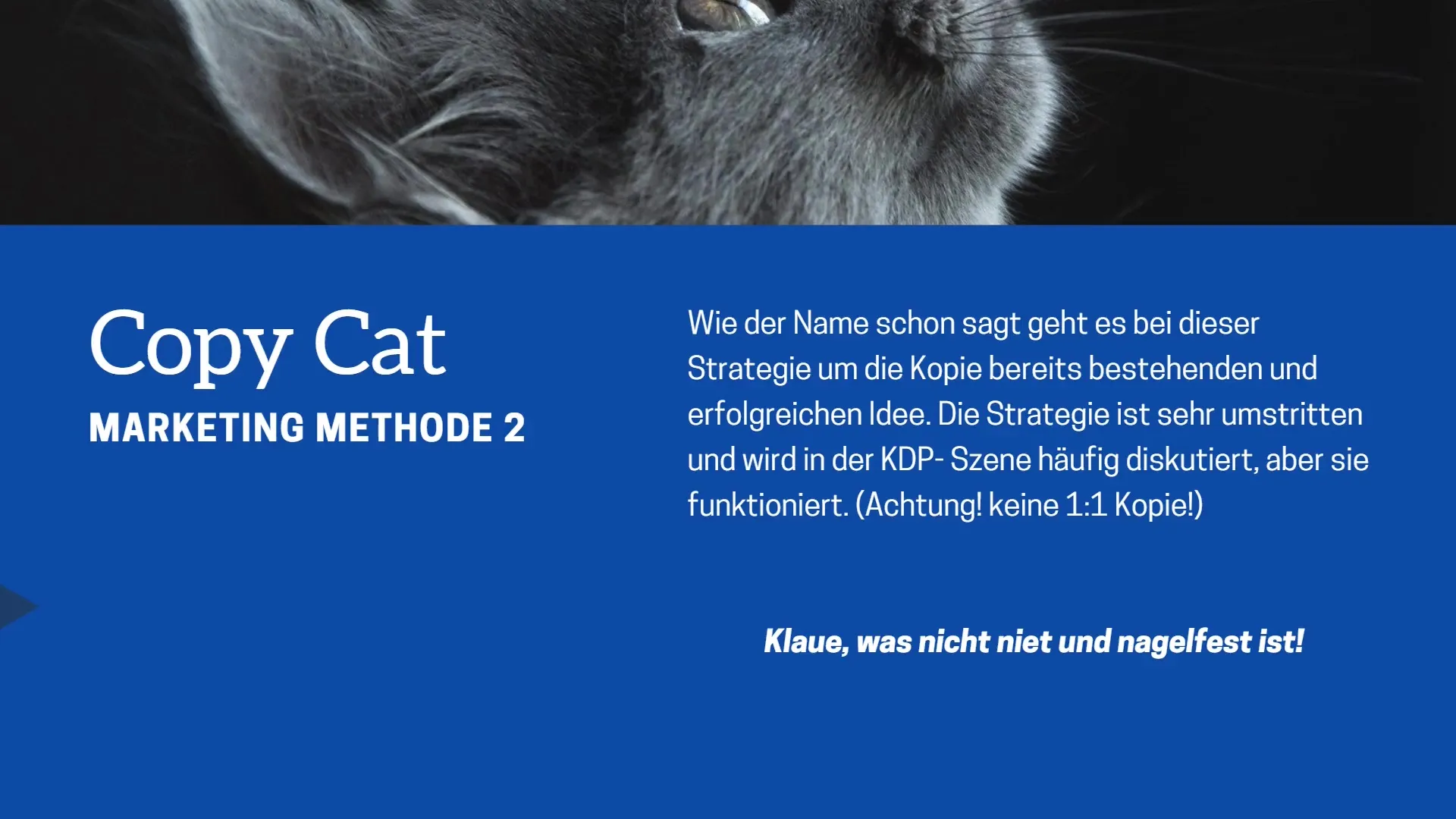 Finde die perfekte Nische für deinen eigenen Podcast