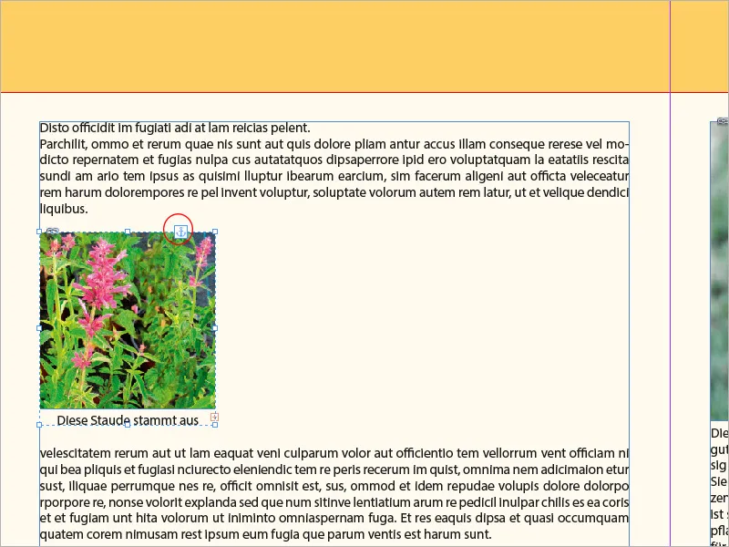 Λεζάντες στο InDesign
