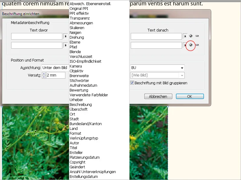 Λεζάντες στο InDesign
