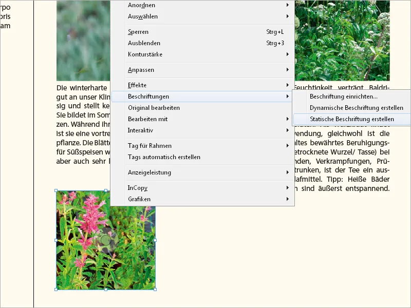 Λεζάντες στο InDesign