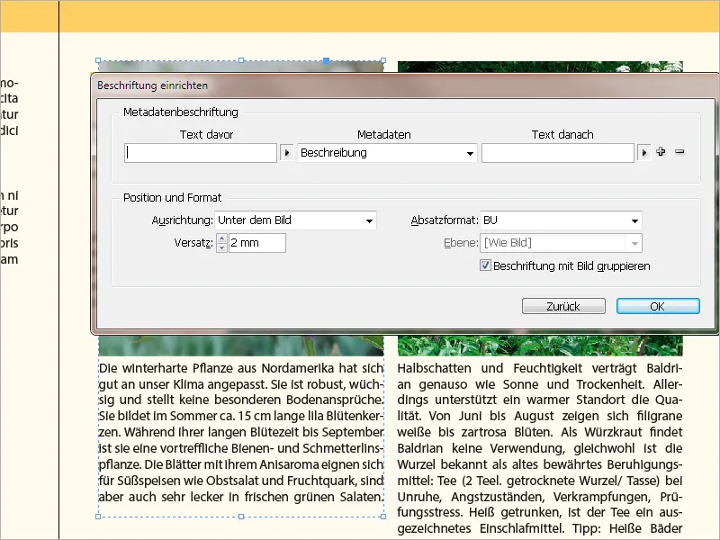 Λεζάντες στο InDesign