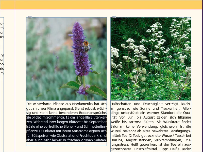 Λεζάντες στο InDesign