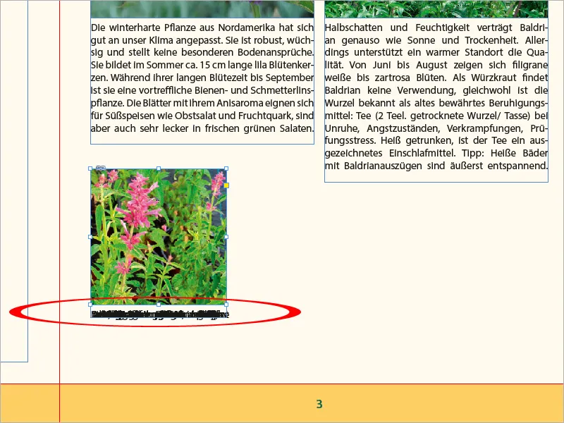 Λεζάντες στο InDesign