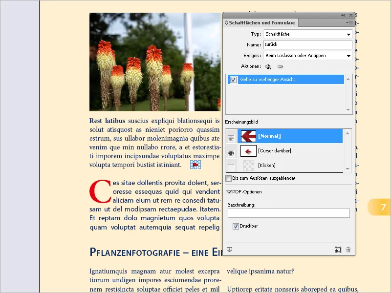 Κουμπιά και σύνδεσμοι στο InDesign