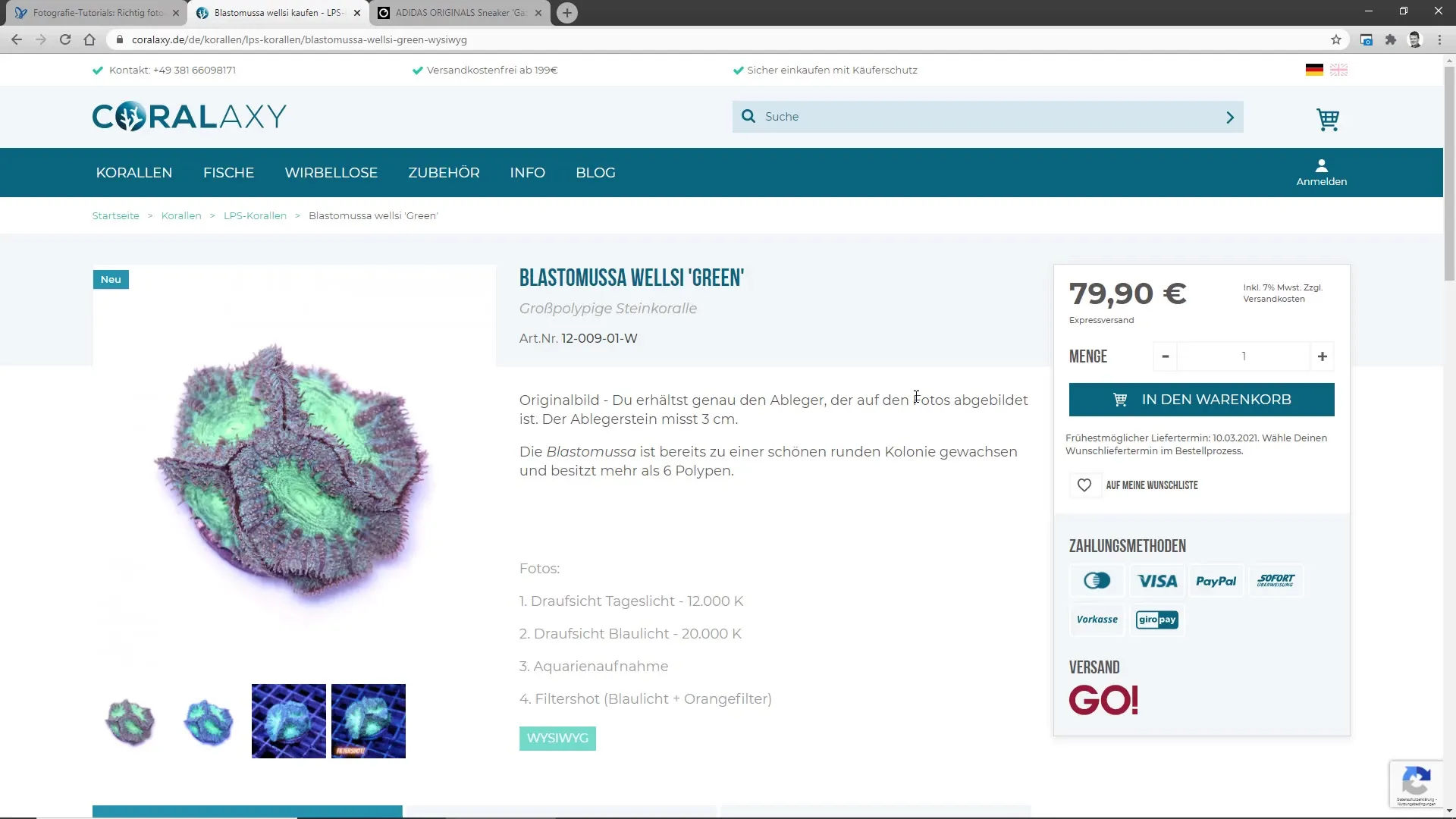 Optimizing user experience through effective product pages