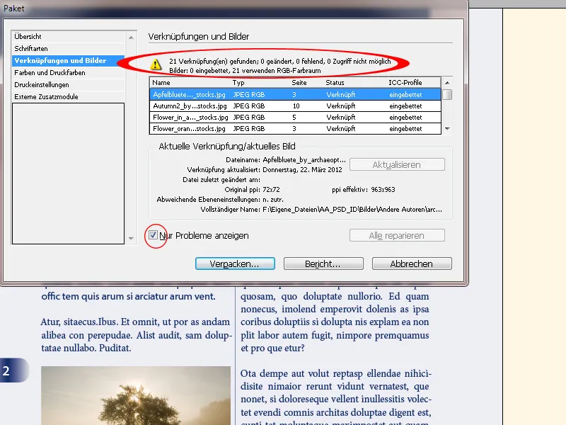 Προεπισκόπηση, έλεγχος συνδεδεμένων γραμματοσειρών και εικόνων, έλεγχος χρωμάτων, συσκευασία εγγράφου στο InDesign
