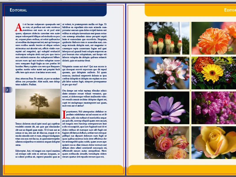 Εξαγωγή PDF σε InDesign