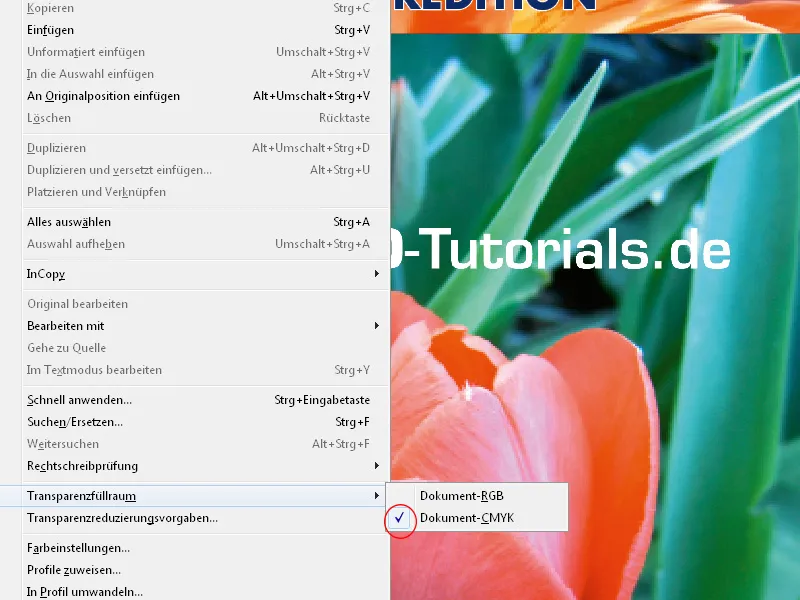 Εξαγωγή PDF σε InDesign