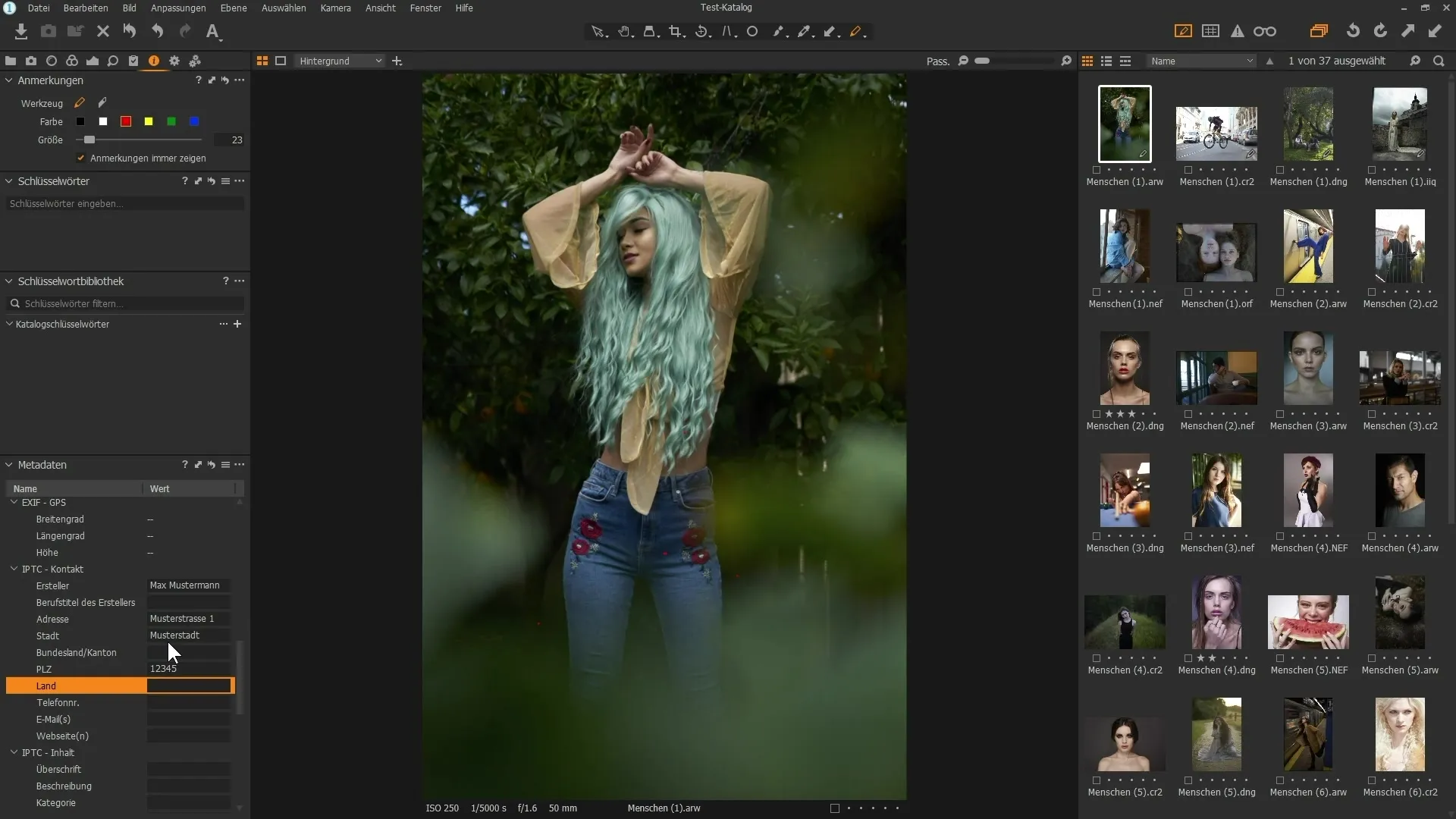 Capture One Pro 12: Compreender os conceitos básicos e a interface do utilizador