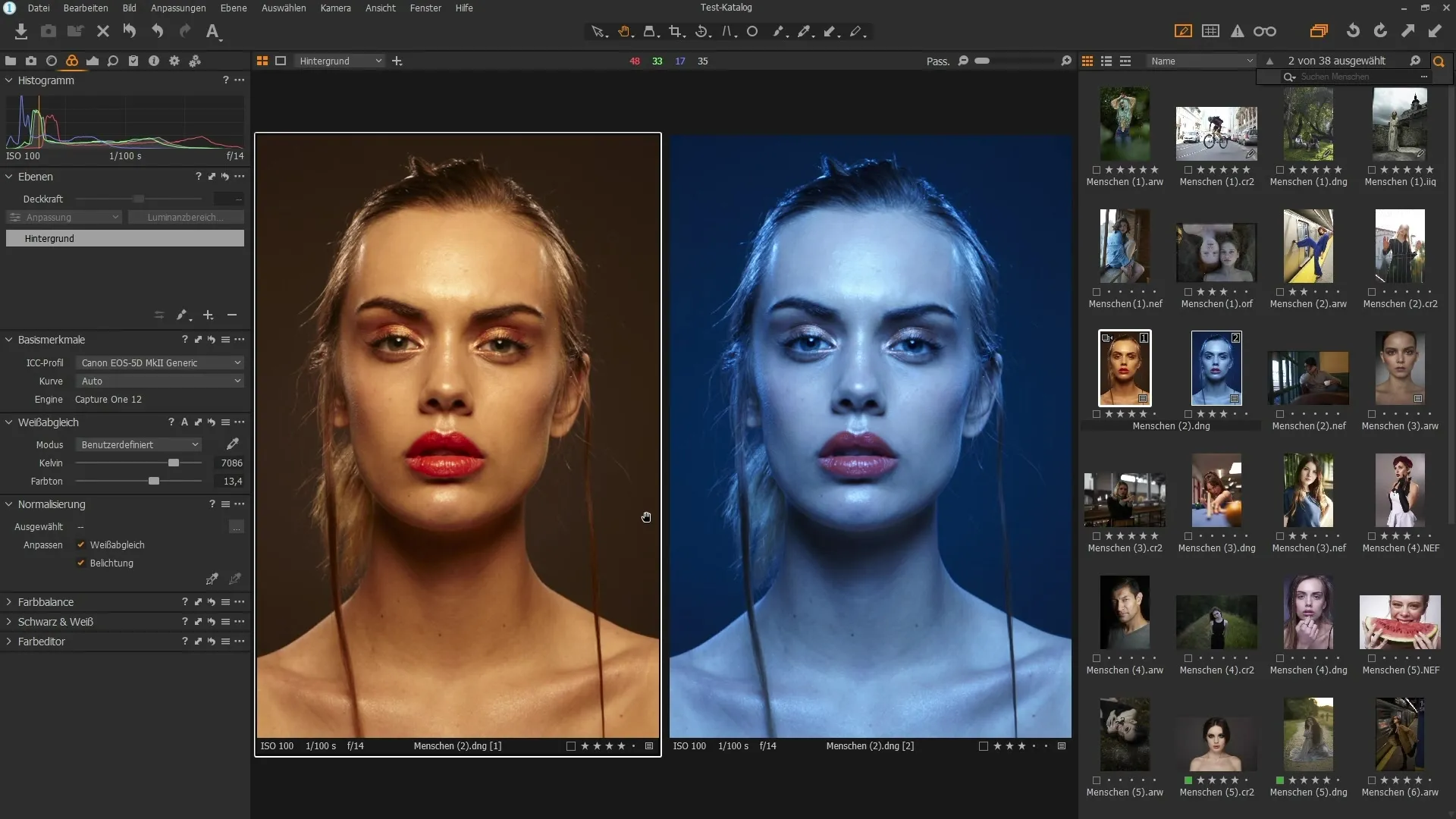 Effektiv organisering af billeder i Capture One Pro