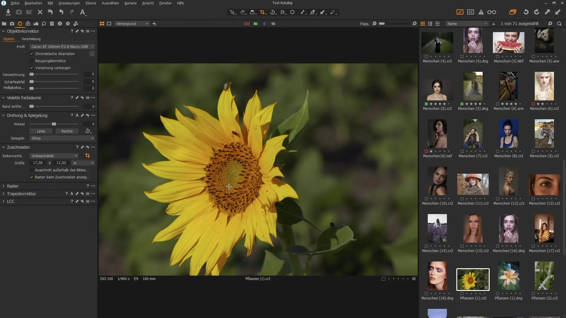 Efficiënte objectieven correcties met Capture One Pro