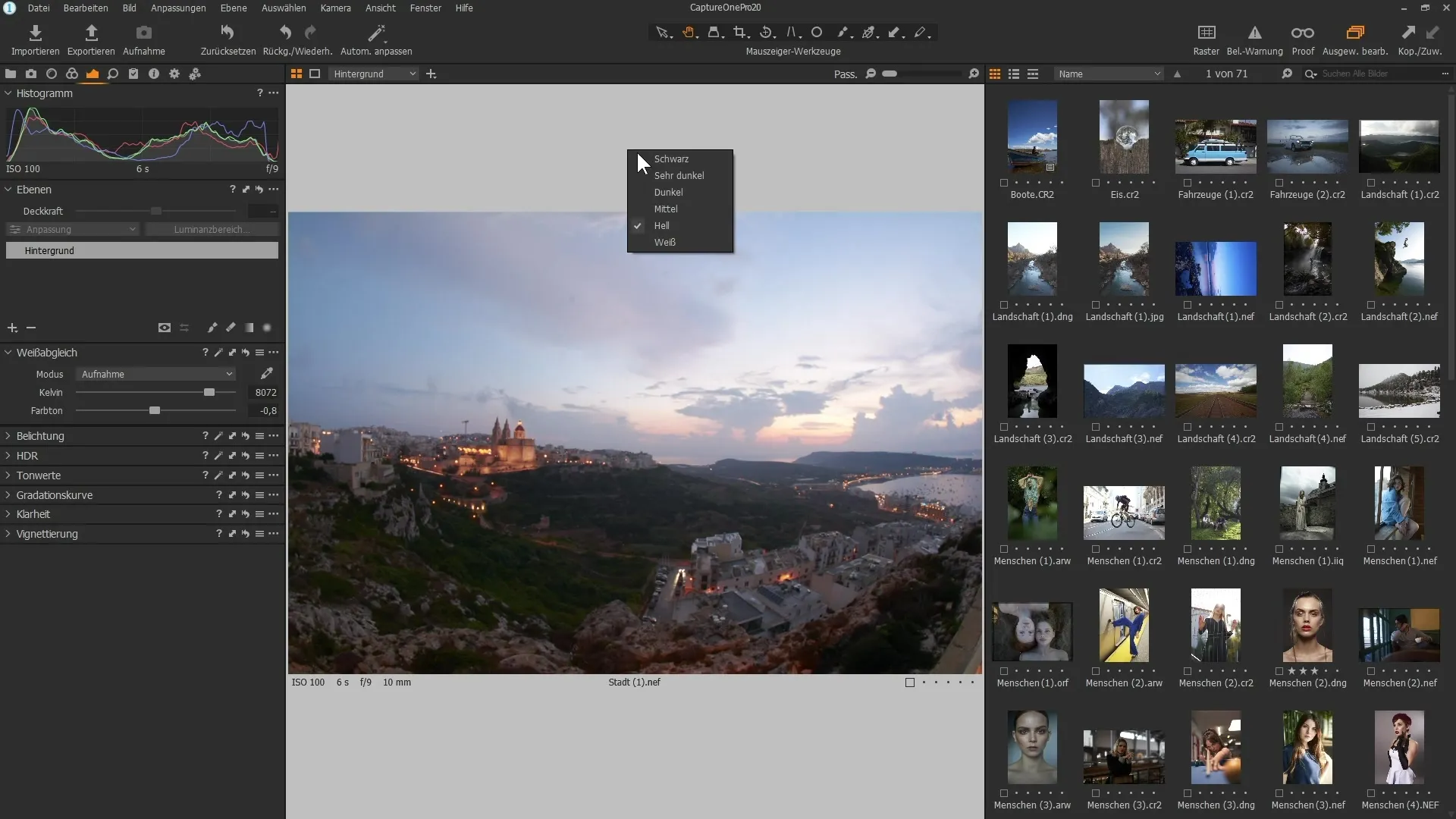 Benutzeroberfläche optimieren in Capture One Pro 20