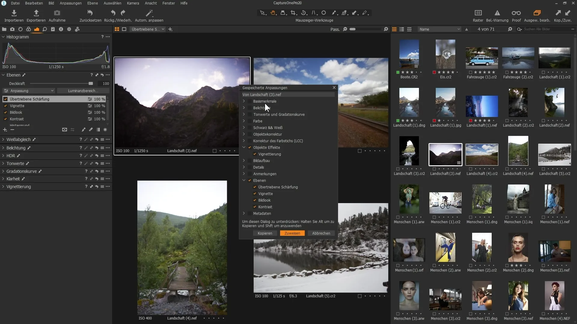Copia selectiva de capas en Capture One Pro 20