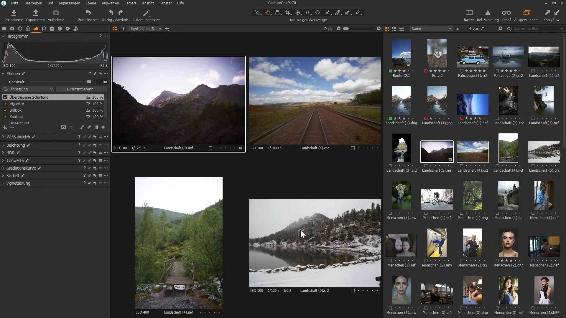 Copiar selectivamente capas en Capture One Pro 20