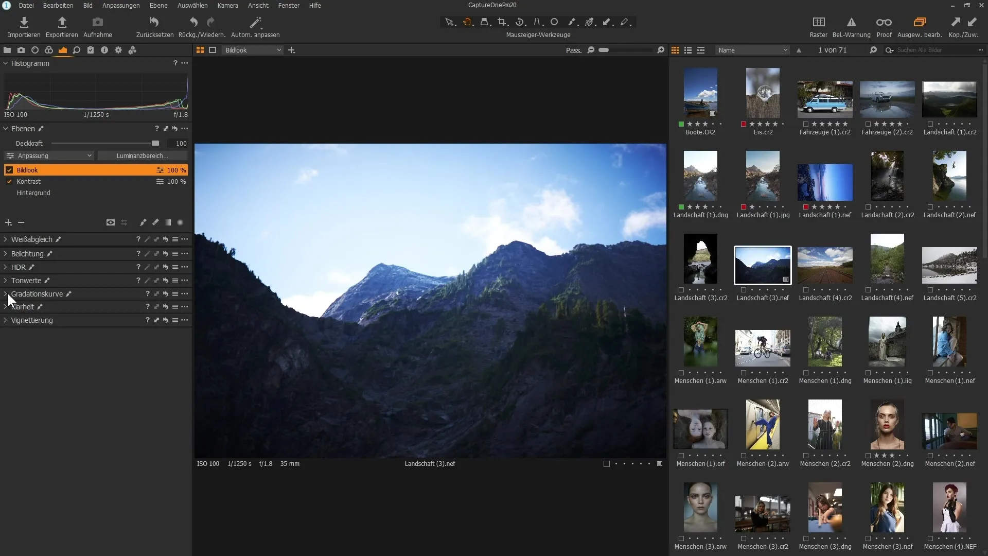 Copia selectiva de capas en Capture One Pro 20