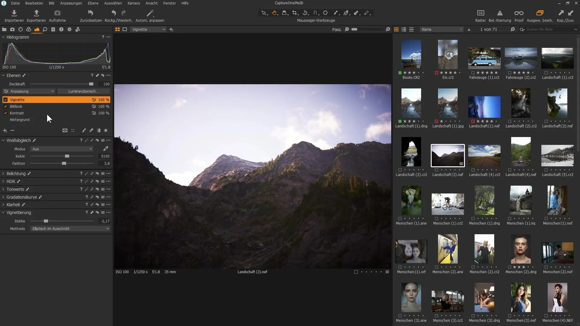 Copia selectiva de capas en Capture One Pro 20
