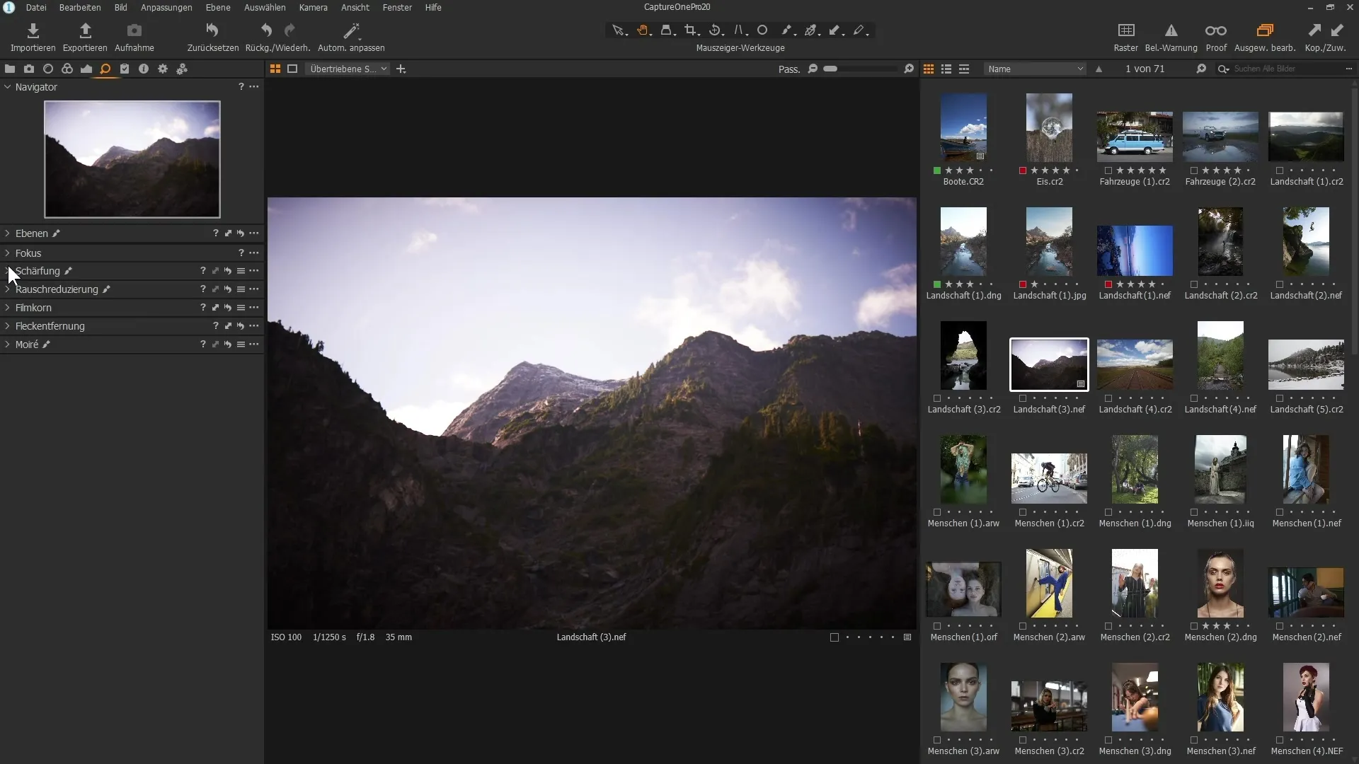 Copia selectiva de capas en Capture One Pro 20