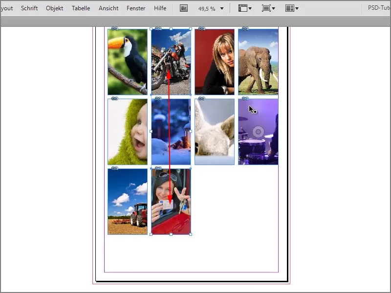 Suggerimenti e trucchi su Adobe InDesign: sostituire rapidamente le immagini