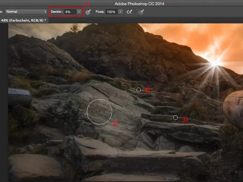 Looks & Styles with Photoshop - Backlighting and flares