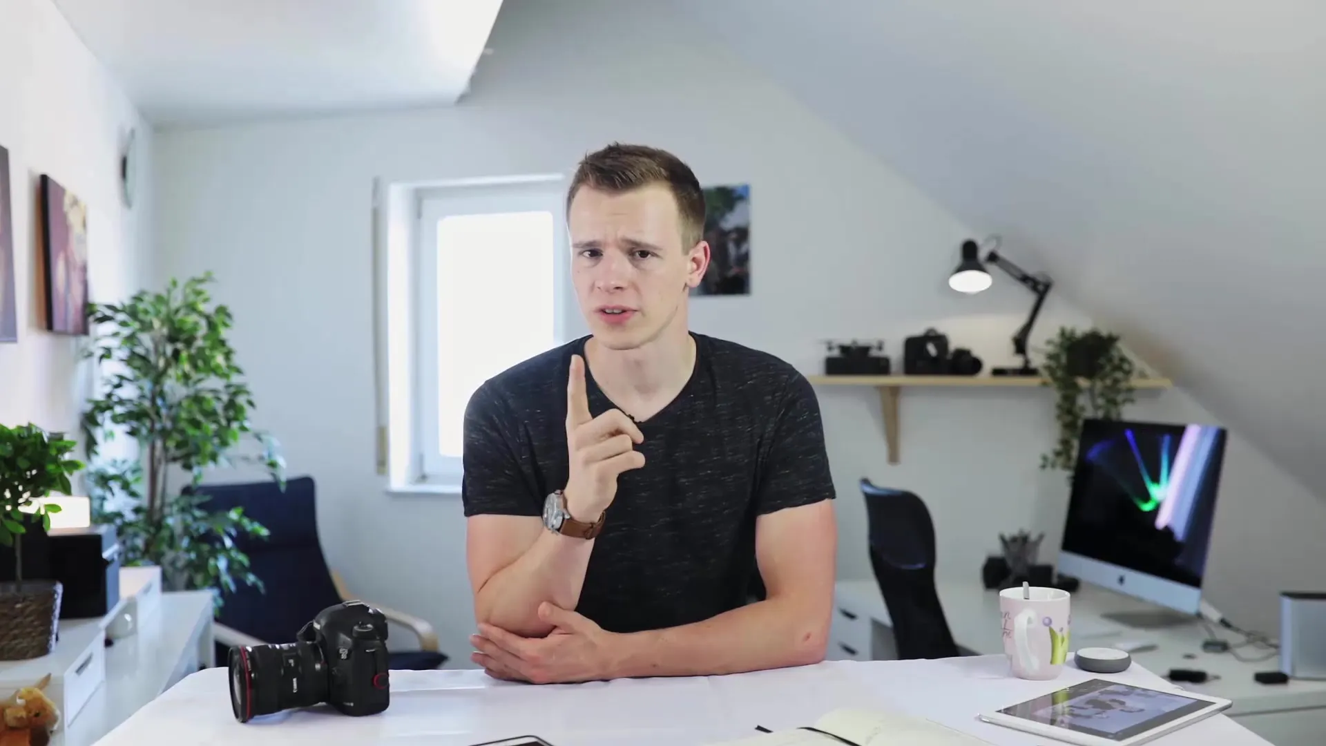 Effektive LOG-Profil Nutzung in Premiere Pro Effektive LOG-Profil Nutzung in Premiere Pro