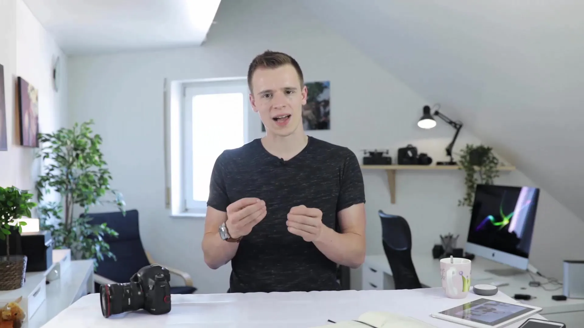 Effektive LOG-Profil Nutzung in Premiere Pro Effektive LOG-Profil Nutzung in Premiere Pro