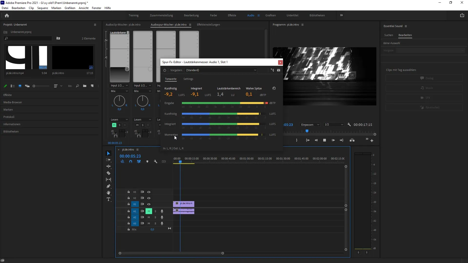 Effectively Using the Audio Meter in Premiere Pro CC 2021 Effectively using the loudness meter in Premiere Pro CC 2021