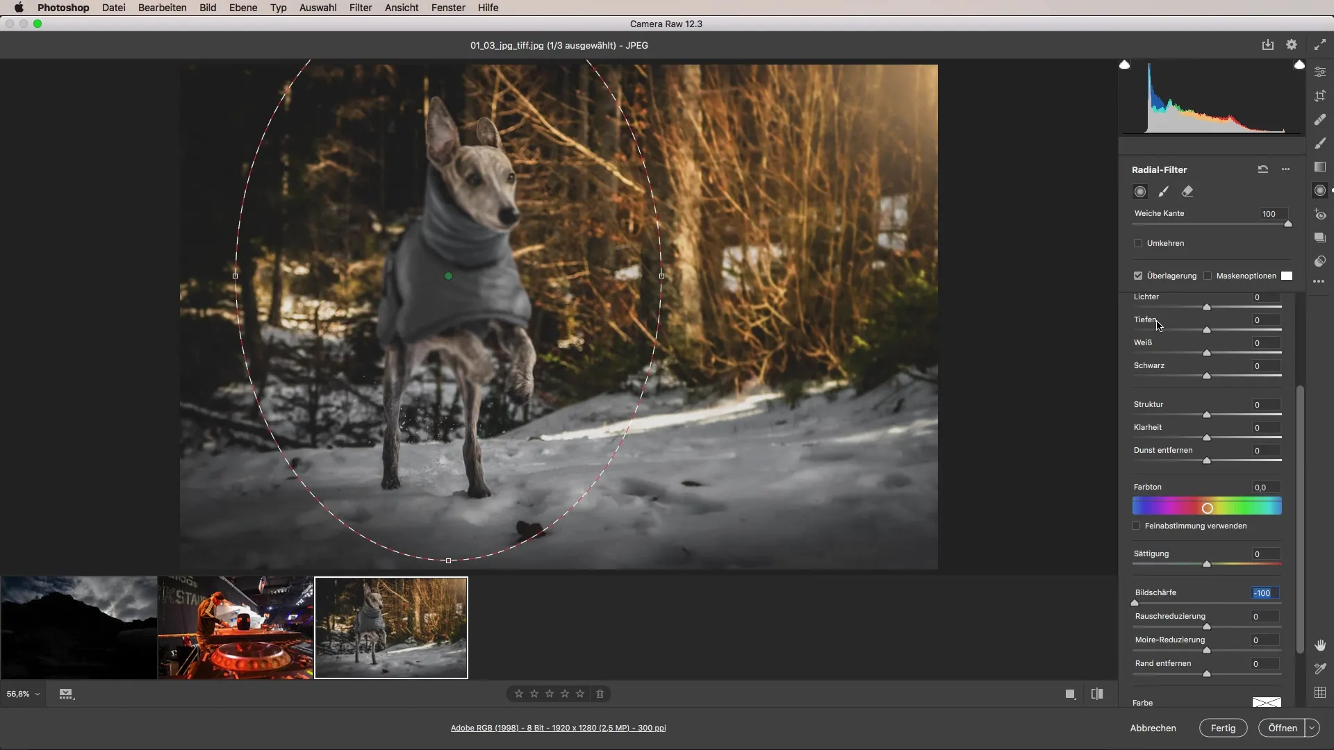 Optimize Camera Raw 12.3 – Step-by-Step Guide Optimize Camera Raw 12.3 – Step-by-Step Guide