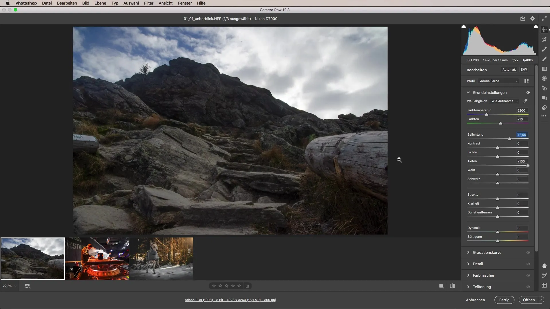 Optimize Camera Raw 12.3 – Step-by-Step Guide Optimize Camera Raw 12.3 – Step-by-Step Guide