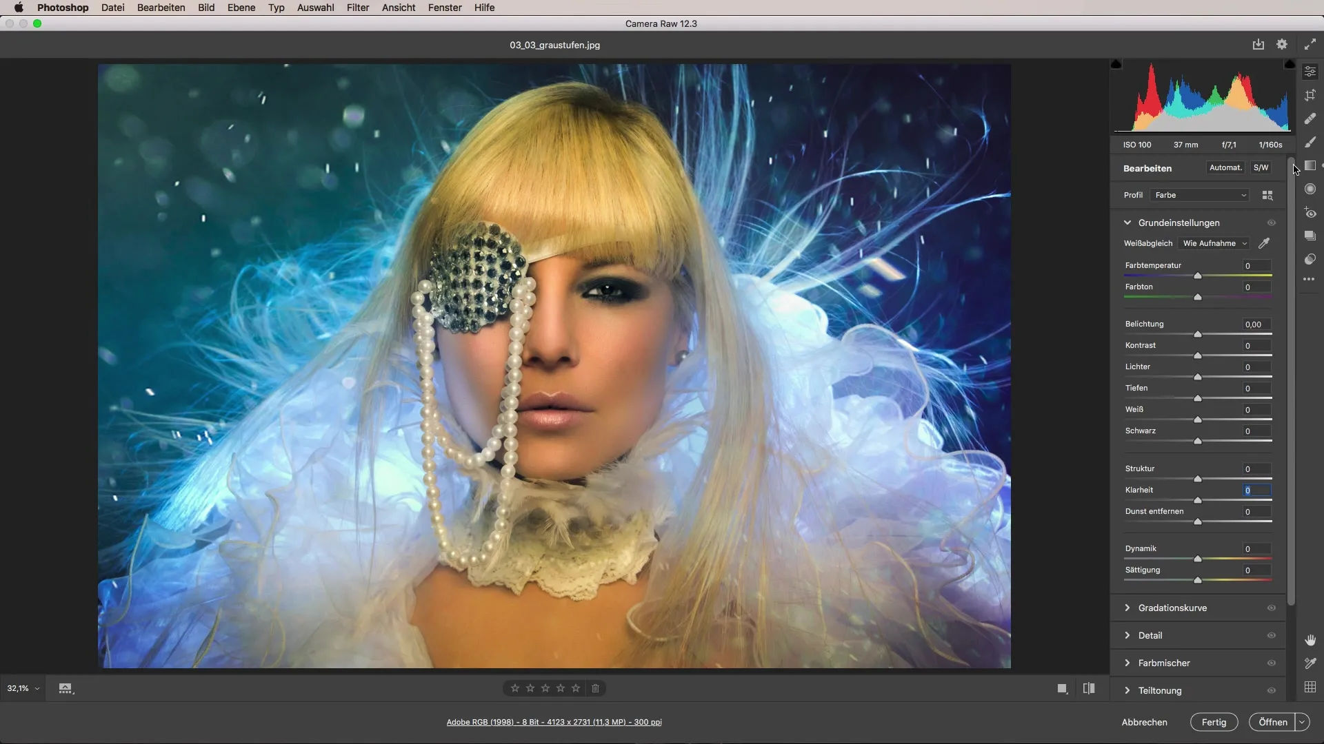 Implementare efficacemente le scale di grigio – Fotografia in bianco e nero in Adobe Camera Raw Implementare efficientemente le scale di grigio - Fotografia in bianco e nero in Adobe Camera Raw