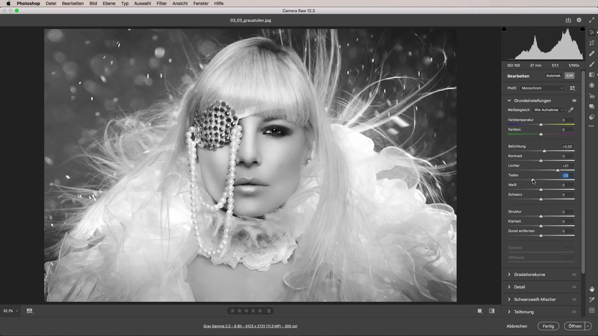 Implementare efficientemente le scale di grigi – Fotografia in bianco e nero in Adobe Camera Raw Eseguire efficientemente le scale di grigio - Fotografia in bianco e nero in Adobe Camera Raw