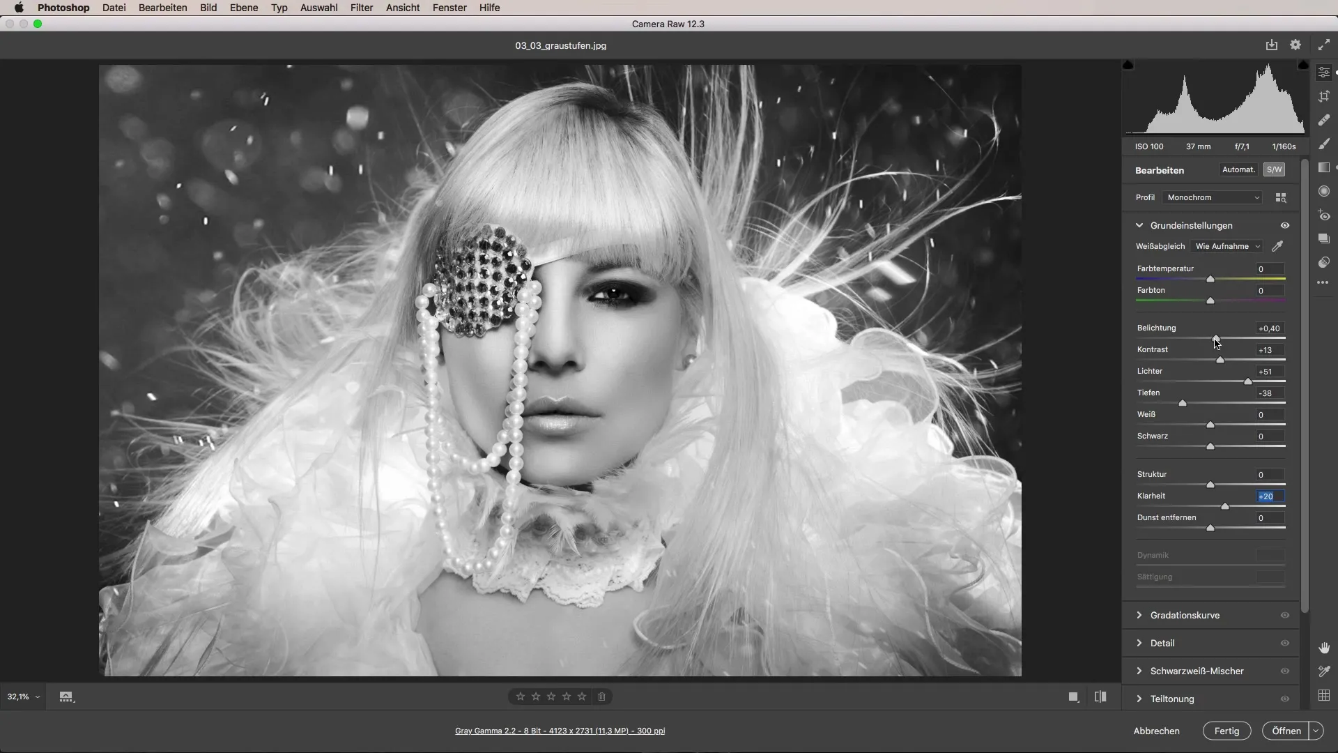 Implementare efficientemente le scale di grigio - Fotografia in bianco e nero in Adobe Camera Raw Implementare le scale di grigio in modo efficiente – Fotografia in bianco e nero in Adobe Camera Raw