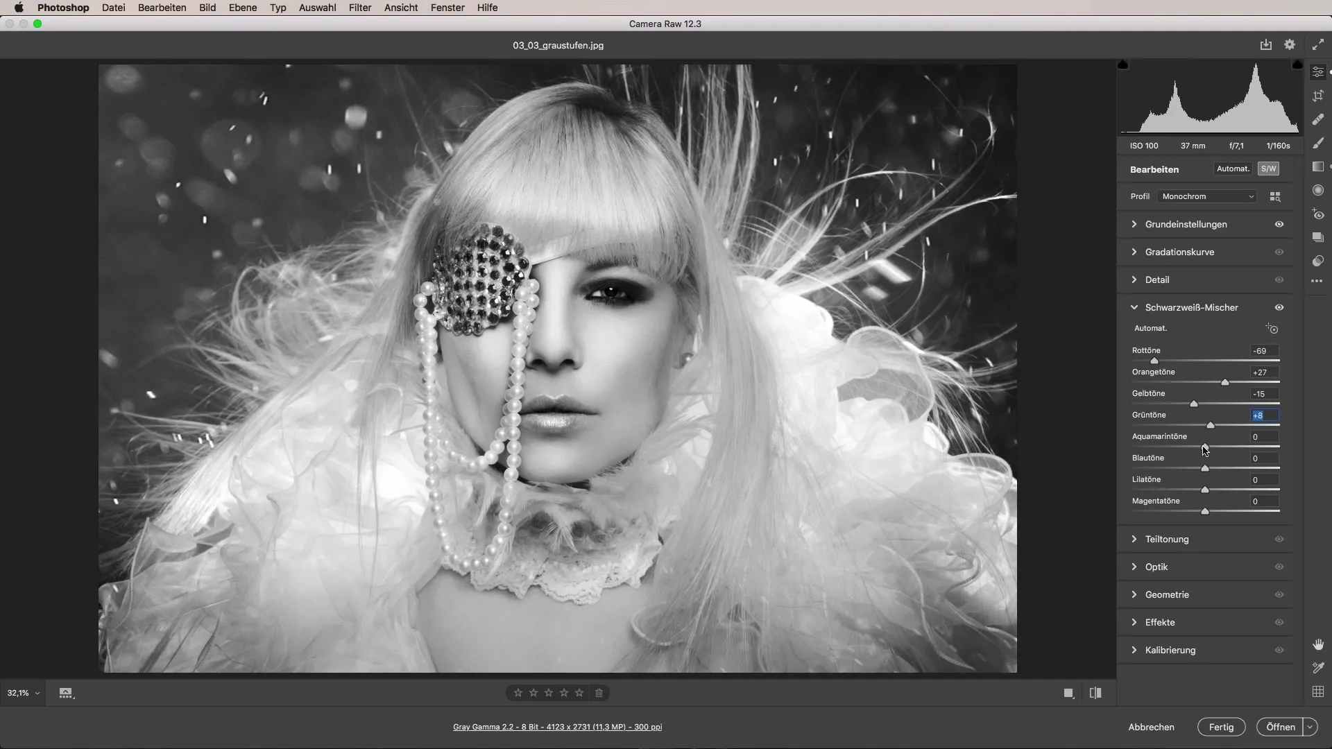 Implementare efficientemente le scale di grigio - Fotografia in bianco e nero in Adobe Camera Raw Implementare efficientemente le scale di grigio – Fotografia in bianco e nero in Adobe Camera Raw