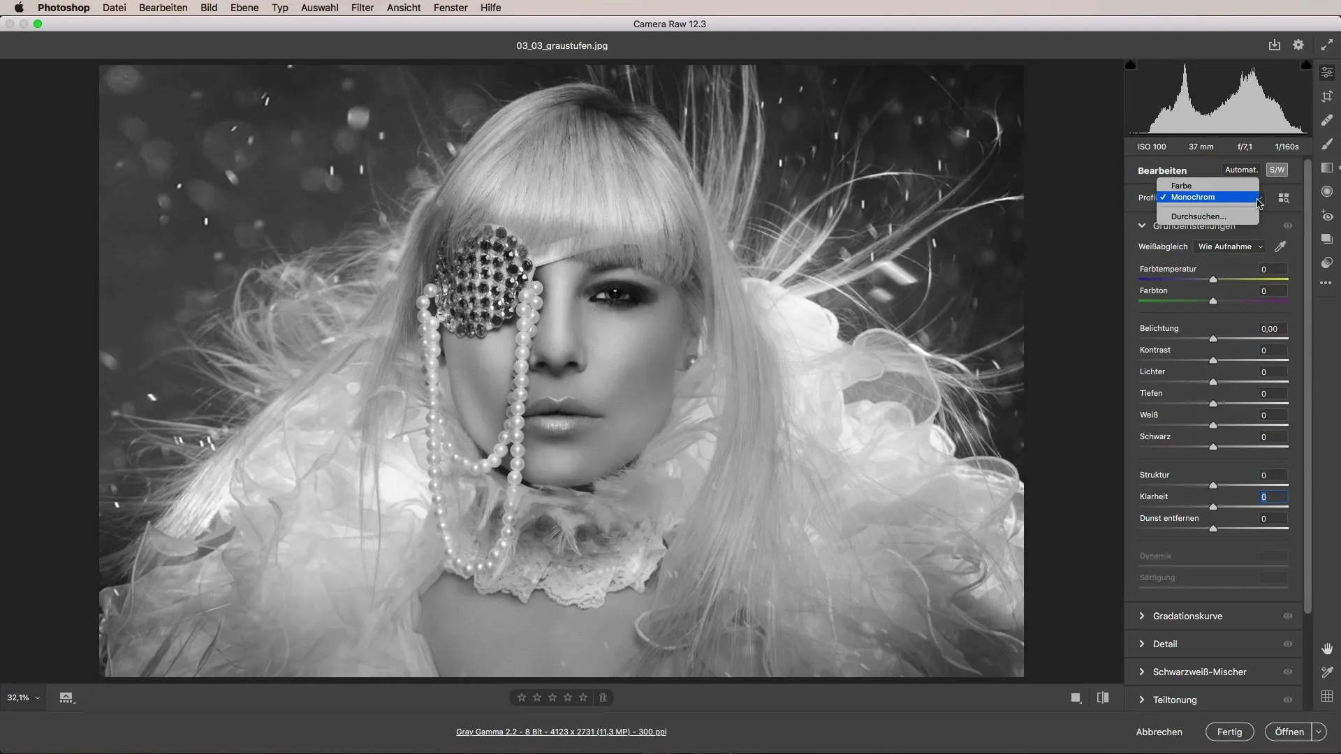 Implementare le scala di grigi in modo efficiente – Fotografia in bianco e nero in Adobe Camera Raw Implementare le tonalità di grigio in modo efficiente - Fotografia in bianco e nero in Adobe Camera Raw