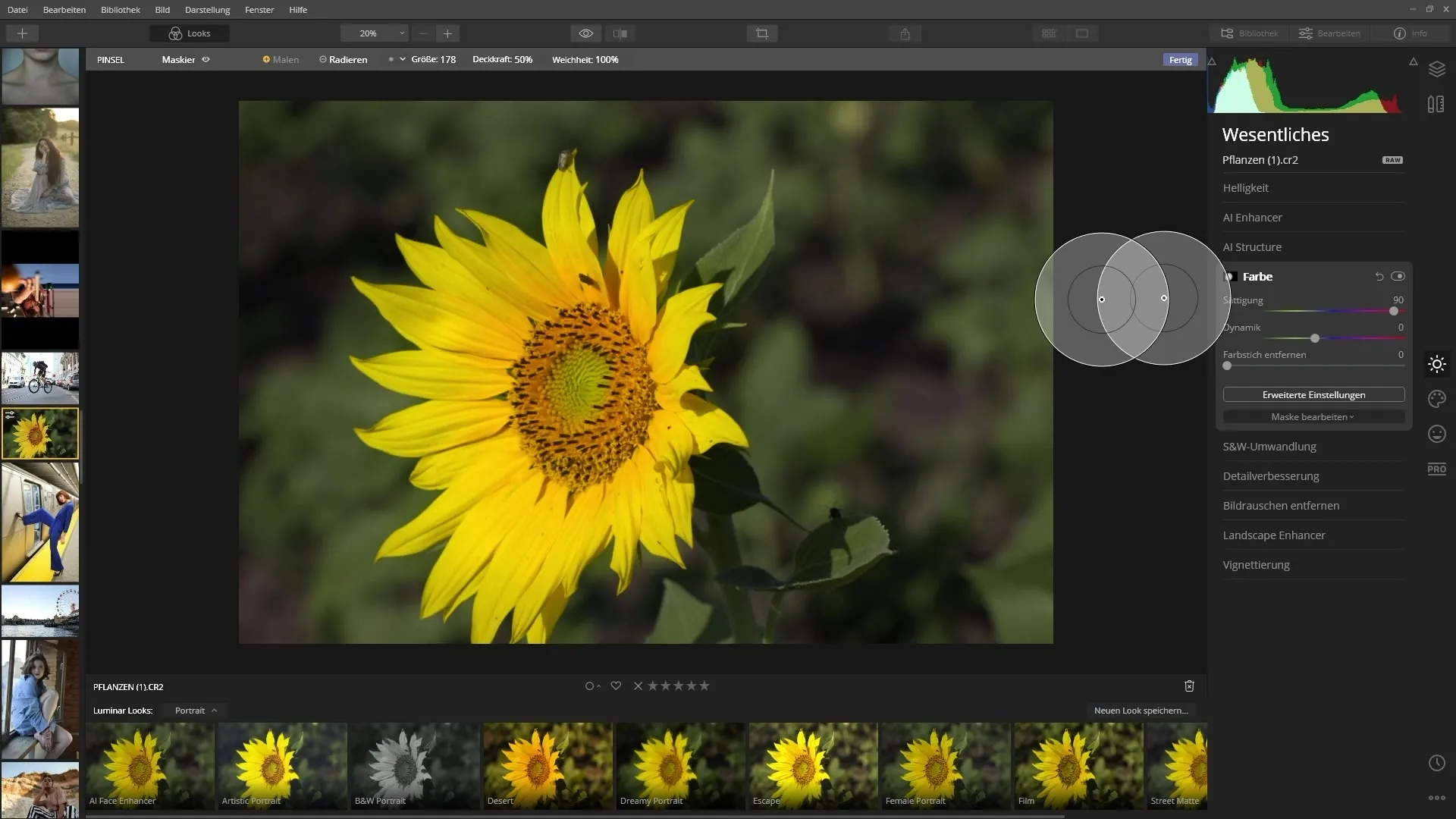 Grundlagen von Skylum Luminar 4 für kreative Fotobearbeitung Grundlagen von Skylum Luminar 4 für kreative Fotobearbeitung
