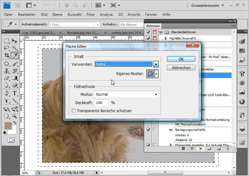 Uporabite dejanja v programu Photoshop.