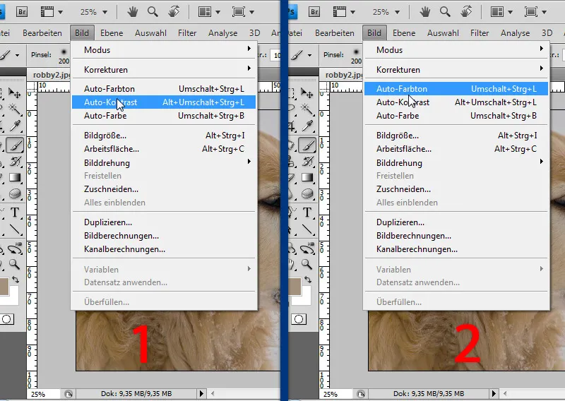 Grabar acciones en Photoshop