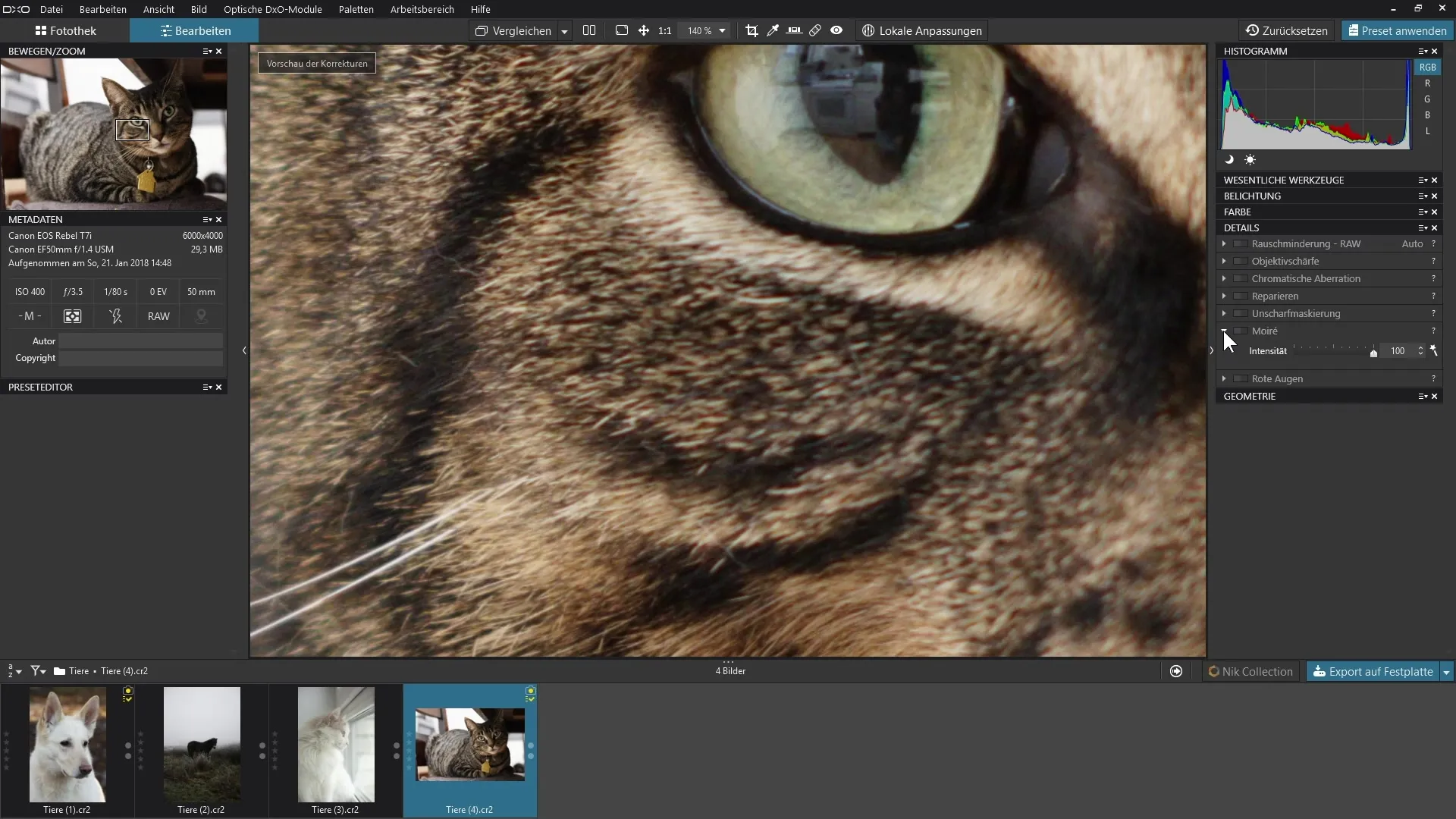 Usar o filtro Moiré de forma eficaz no DxO PhotoLab Utilizar o filtro Moiré de forma eficaz no DxO PhotoLab
