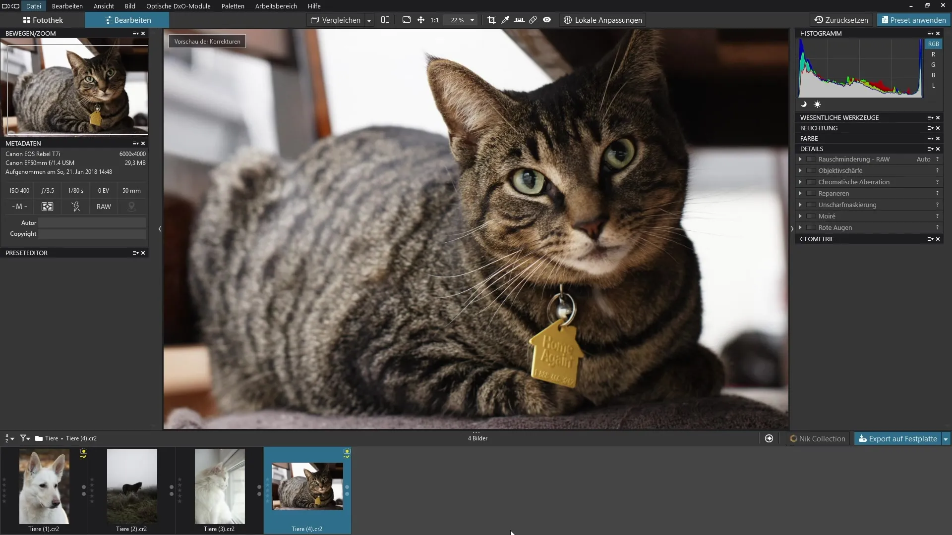 Usar o filtro Moiré de forma eficaz no DxO PhotoLab Utilizando o filtro Moiré de forma eficaz no DxO PhotoLab