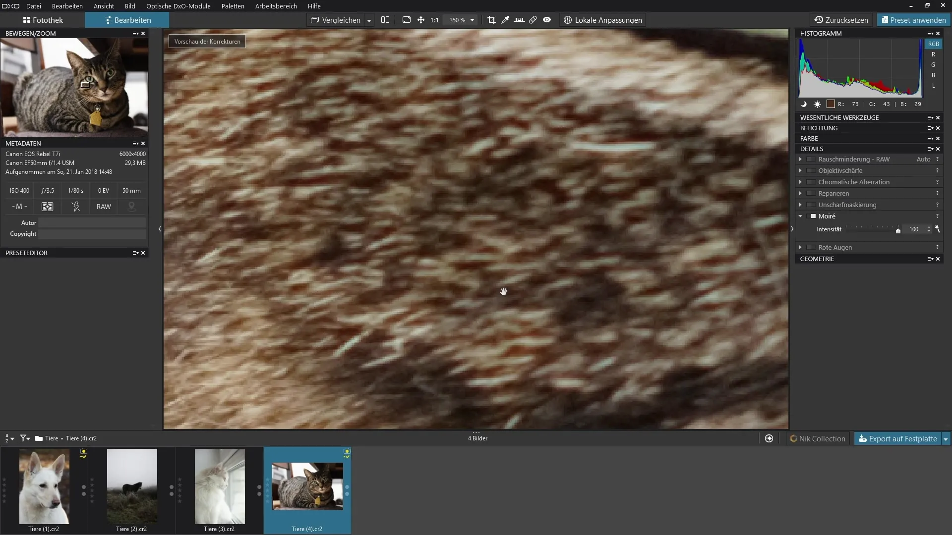 Utilizar o filtro Moiré de forma eficaz no DxO PhotoLab Usar o filtro Moiré de forma eficaz no DxO PhotoLab