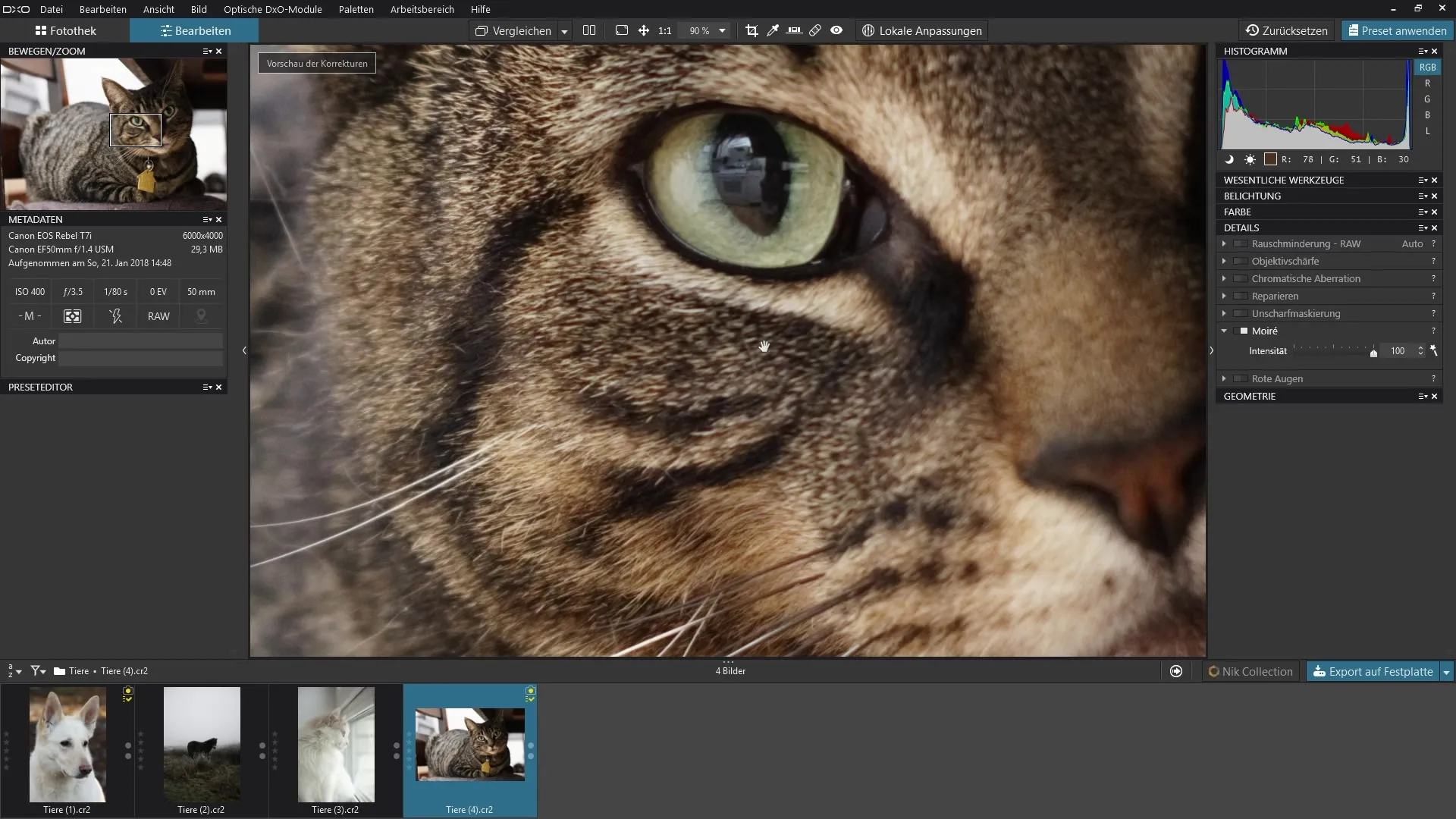 Usar o filtro Moiré de forma eficaz no DxO PhotoLab Utilizar o filtro Moiré de forma eficaz no DxO PhotoLab