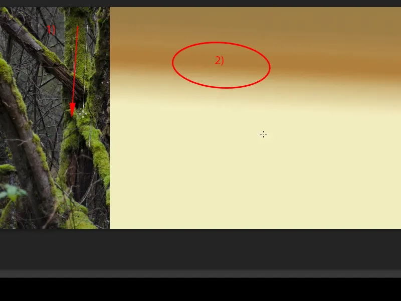 Aspetto e stili con Photoshop - Look a sfumature