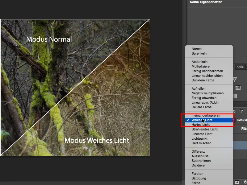 Looks & Styles mit Photoshop - Verlaufslooks