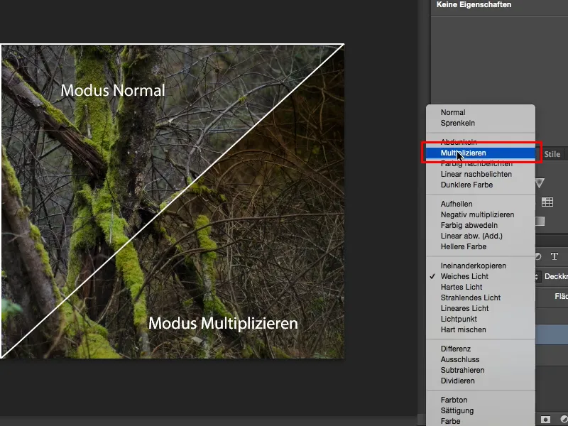 Looks & Styles mit Photoshop - Verlaufslooks
