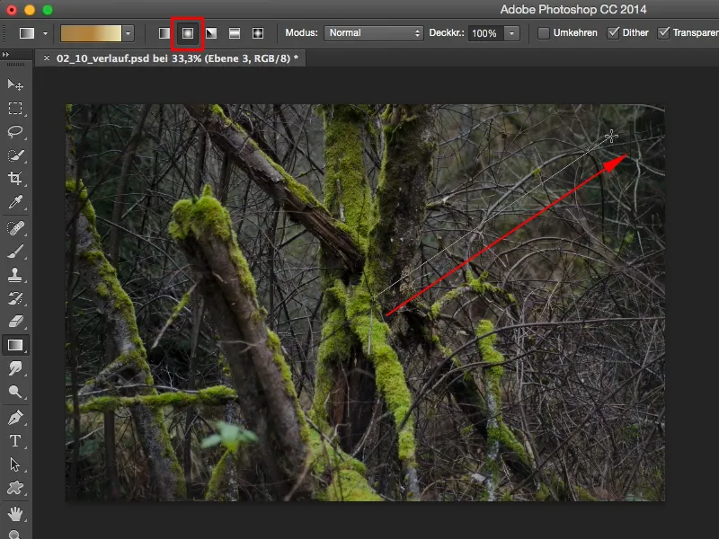 Looks & Styles con Photoshop - Stili di sfumatura