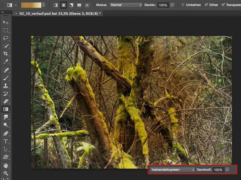 Looks & Styles con Photoshop - Effetti di sfumatura