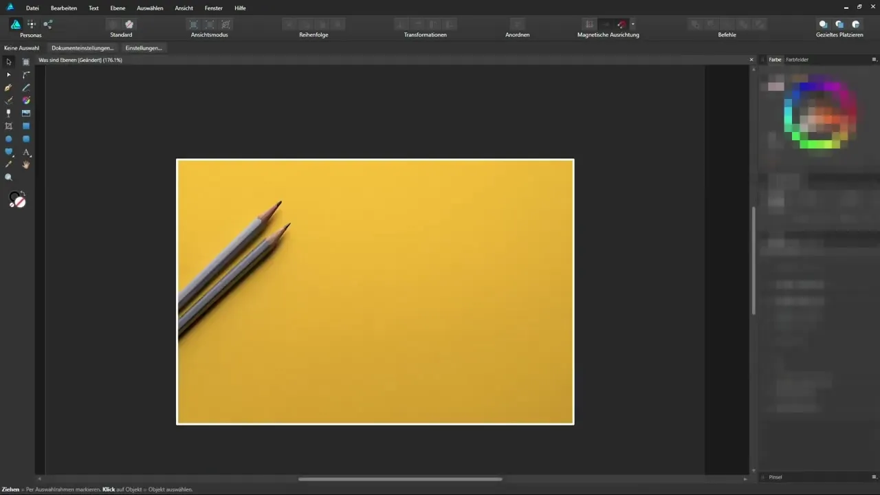 Grundlagen von Affinity Designer effektiv meistern Grundlagen von Affinity Designer effektiv meistern