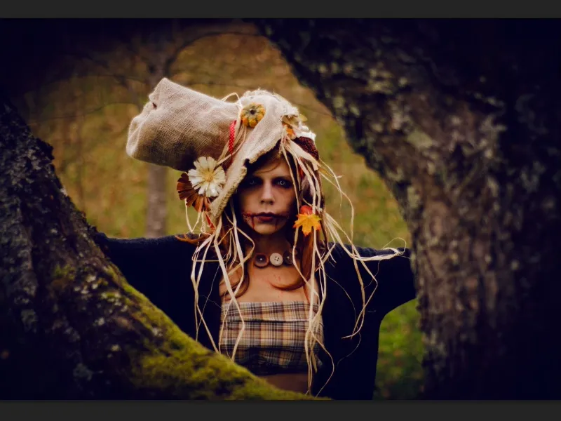 Looks & Styles with Photoshop - Warm and cold mood changes