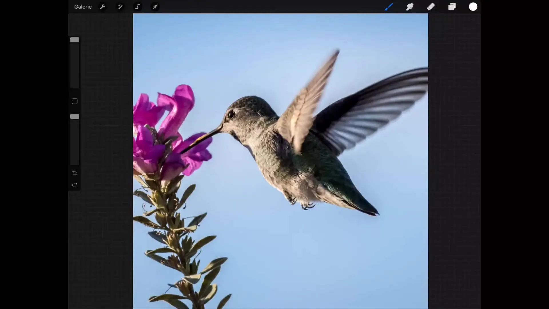 Master the blending modes in Procreate for impressive darkening Master the blend modes in Procreate for impressive darkening