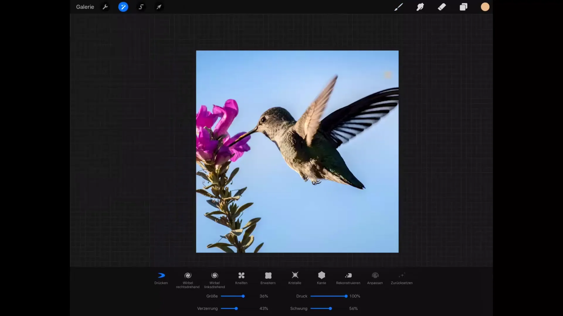 Liquify in Procreate – Master Digital Image Manipulation Liquify in Procreate - Master Digital Image Manipulation